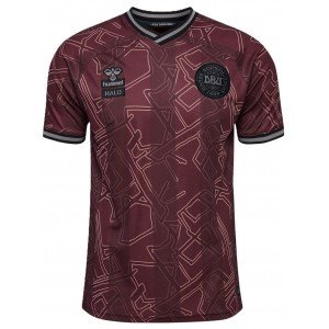 Camisa Seleção da Dinamarca 2024 Hummel oficial especial 