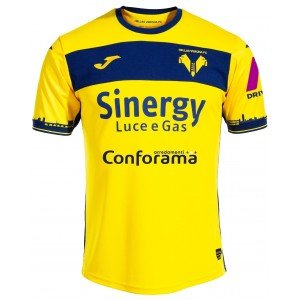Camisa II Hellas Verona 2023 2024 Joma oficial 