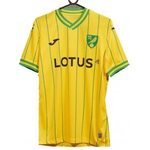 Camisa I Norwich 2022 2023 Joma oficial 