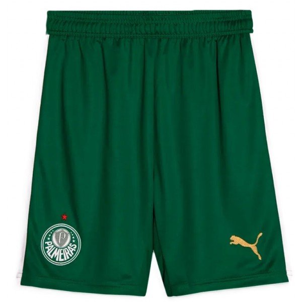 Calção II Palmeiras 2024 Puma oficial 