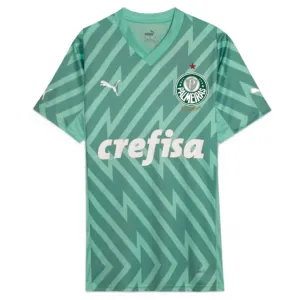 Camisa Goleiro I Palmeiras 2024 Puma oficial 