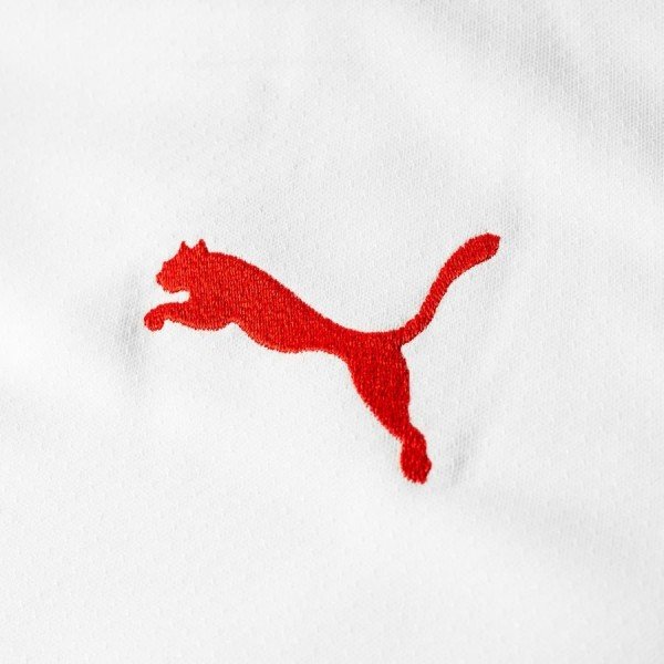 Camisa oficial Puma Seleção da Suiça 2018 II jogador